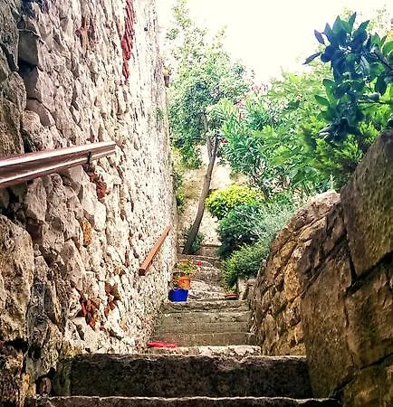 Gostinjska kuća Luxury Orh