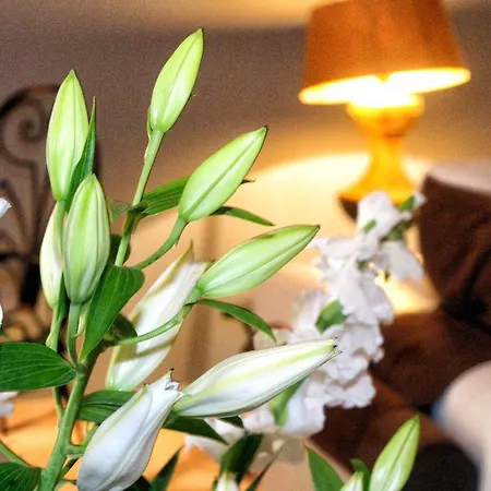 Luxury Orh Affittacamere