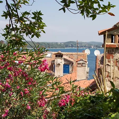 Casa de hóspedes Luxury Orh